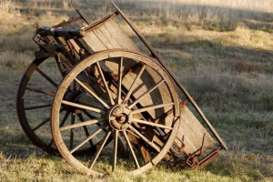 U mtsensku, konj, uplašen automobilom, nagnuti putnici